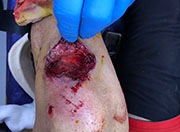 Carrera ciclista corte en rodilla